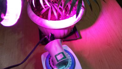 Photo of تایمر LED رشد گیاه برای روشن و خاموش کردن نوردهی