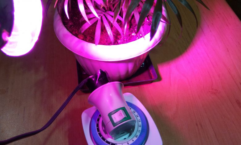تایمر LED رشد گیاه برای روشن و خاموش کردن نوردهی